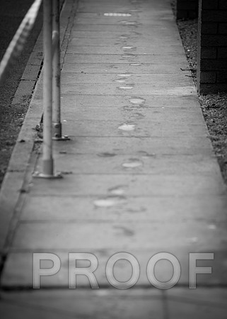 2015-05-10 - WTri 2015-1617