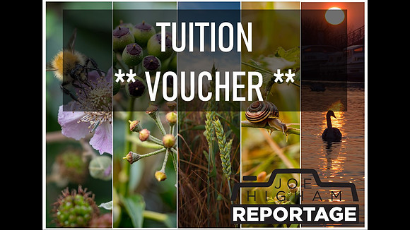 Wildlife Tuition Voucher Purchase Here!